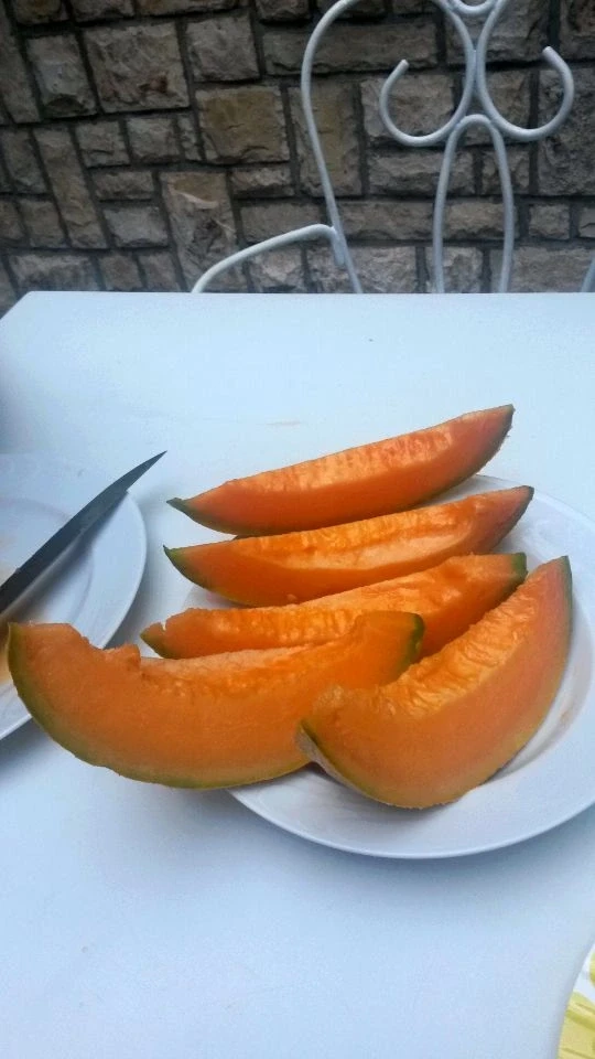 Словенская дыня (рыжая внутри)