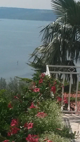 Порторож, Apartments & Rooms Marija 2*