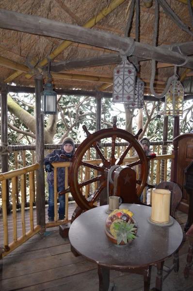 Adventureland. Дерево Робинзона