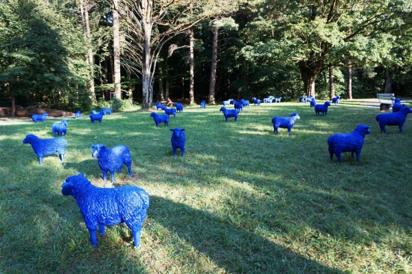 Blauschäferei