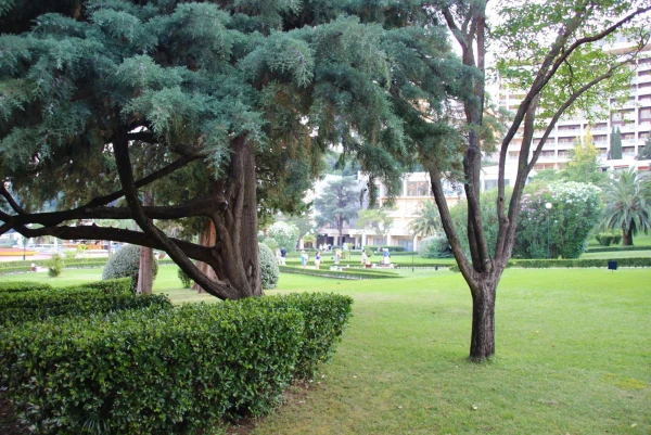 Отель Iberostar Bellevue 4*.