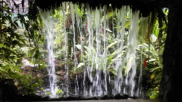Kuala Lumpur Butterfly Park 