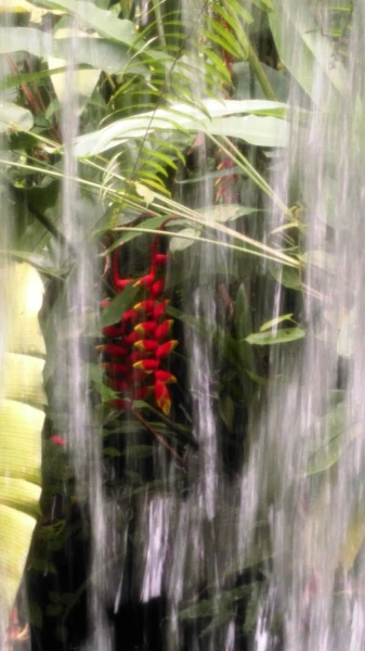 Kuala Lumpur Butterfly Park 