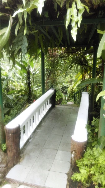 Kuala Lumpur Butterfly Park 