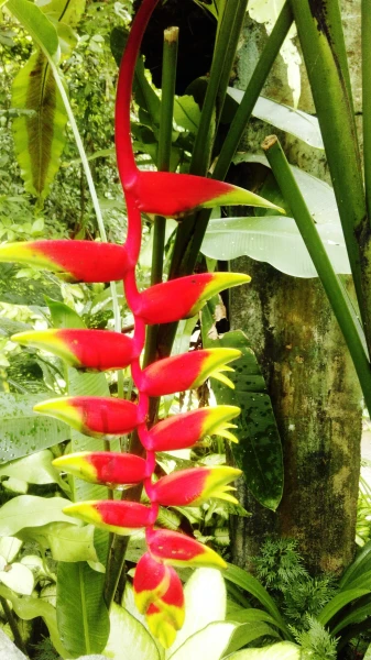 Kuala Lumpur Butterfly Park 