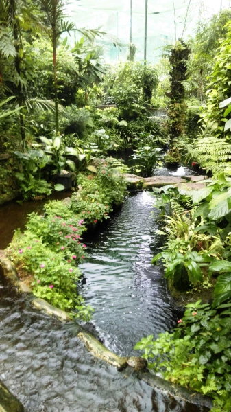 Kuala Lumpur Butterfly Park 