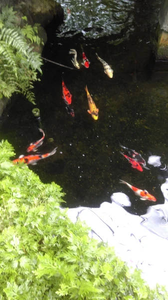 Kuala Lumpur Butterfly Park 