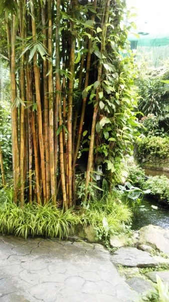 Kuala Lumpur Butterfly Park 