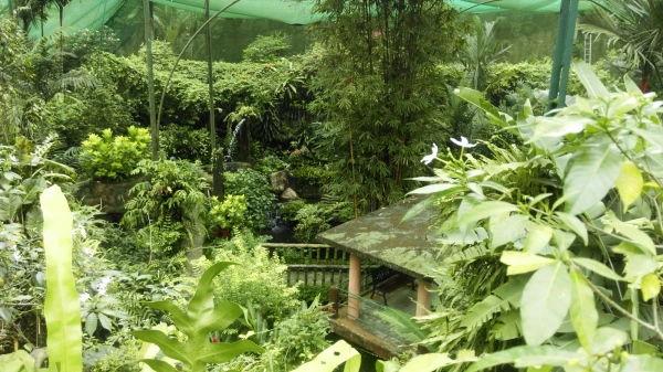 Kuala Lumpur Butterfly Park 