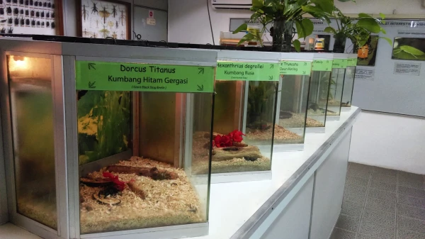 Kuala Lumpur Butterfly Park 