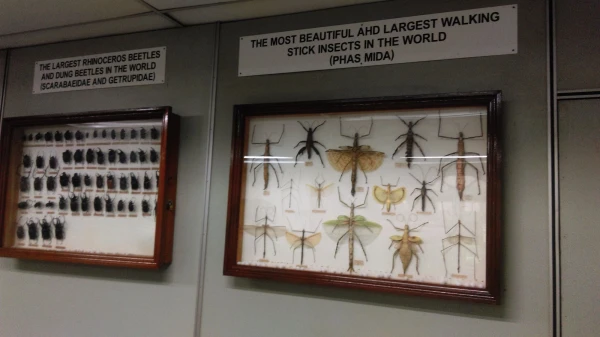 Kuala Lumpur Butterfly Park 