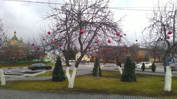 гранаты созрели