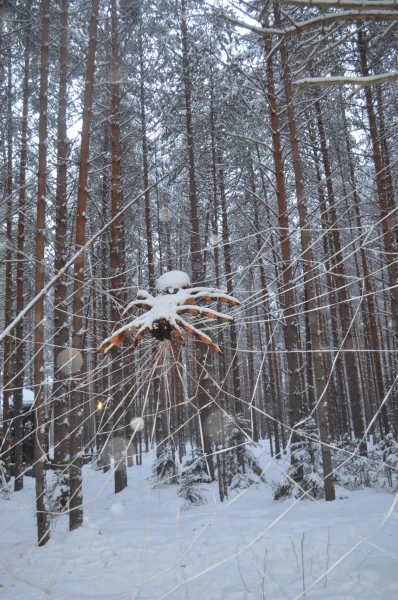На тропе сказок