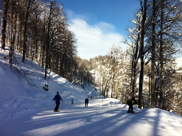 Зеленая трасса