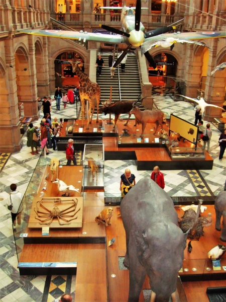 Kelvingrove Art Gallery and Museum
