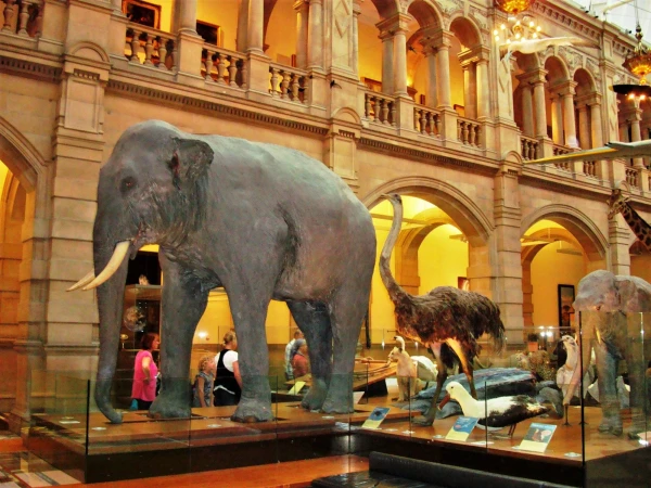 Kelvingrove Art Gallery and Museum