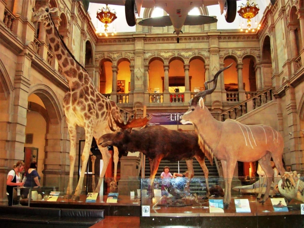 Kelvingrove Art Gallery and Museum