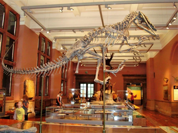 Kelvingrove Art Gallery and Museum