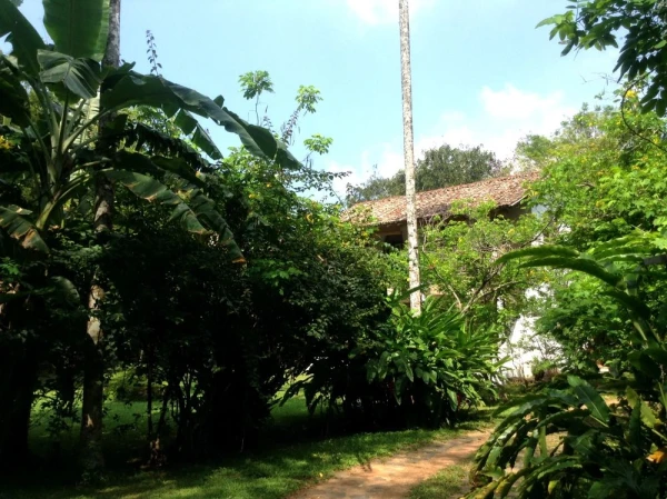 Отель Atapattu Walawwa House 3*