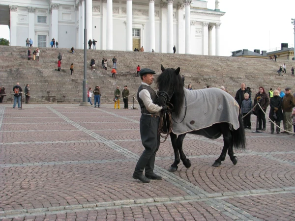 Хельсинки, Сенатская площадь