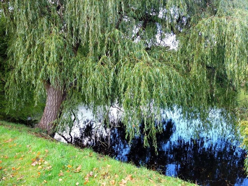 Парк Черчилля 