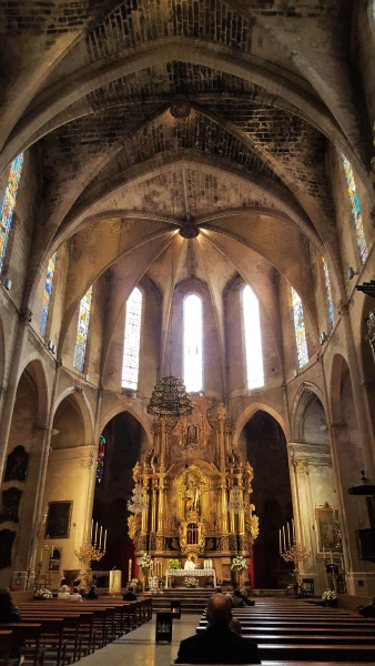 La Seu Catedral
