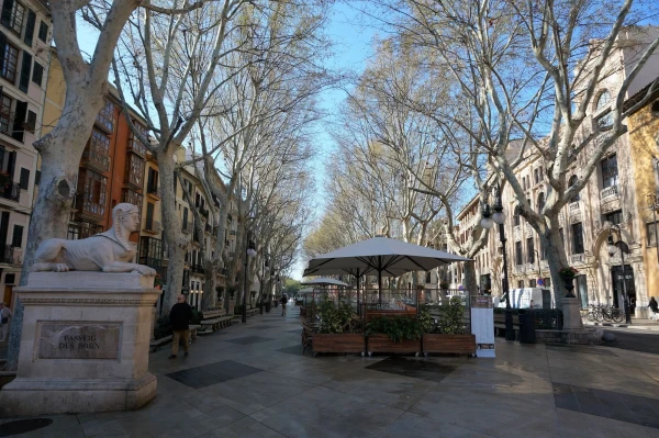 Passeig de Born