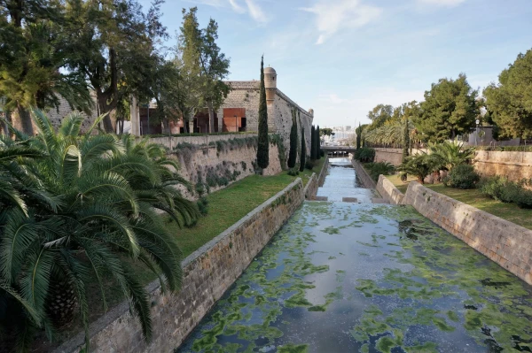 Passeig Mallorca