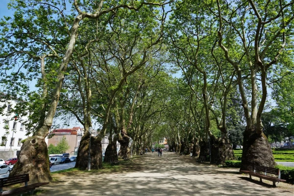 Cordoaria Garden