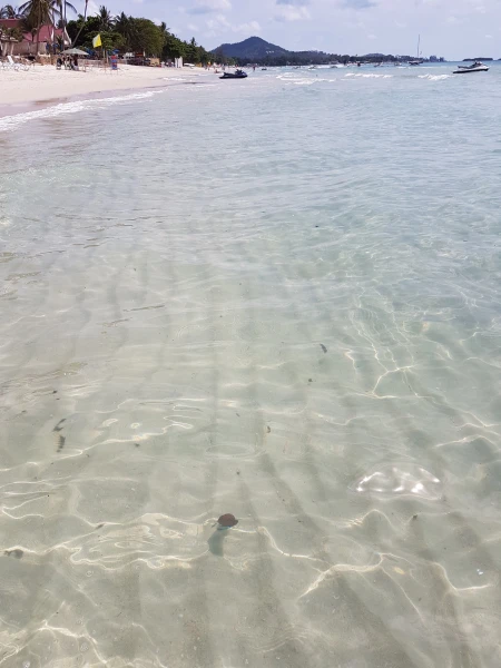 море