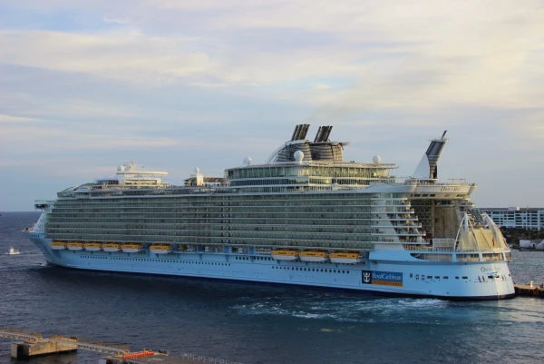 Oasis of the Seas (творческий перевод Оазис морей) — первое круизное судно класса Oasis, ставшее на момент постройки самым большим пассажирским судном в мире. 
