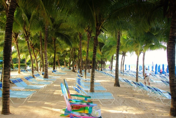 Косумель. Пляжном клубе Paradise Beach.