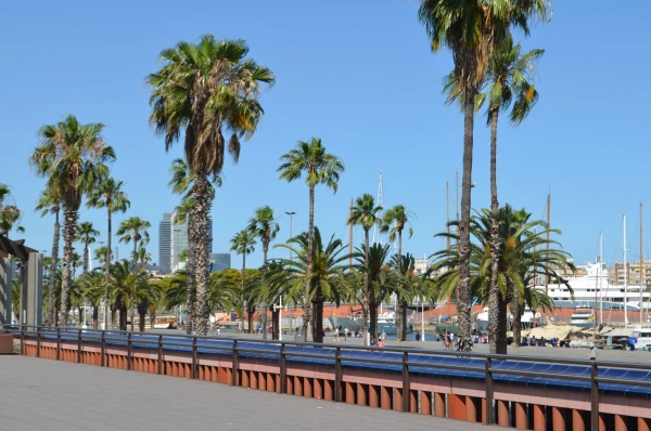 Набережная на Passeig de Colom