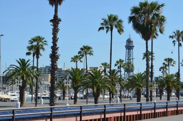 Набережная на Passeig de Colom