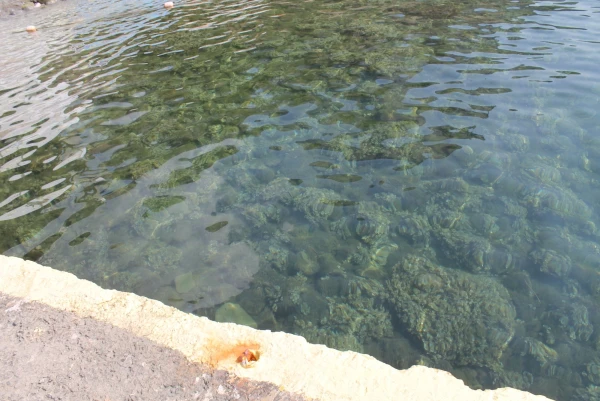 вода в Новом свете