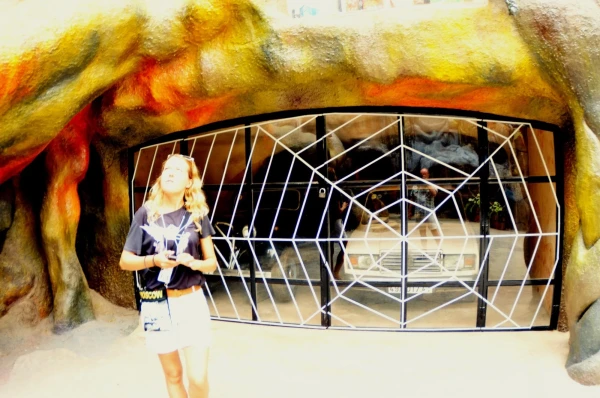 Crazy House Dalat Гостевой дом Ханг Нга в Далате Crazy House Hang Nga Dalat