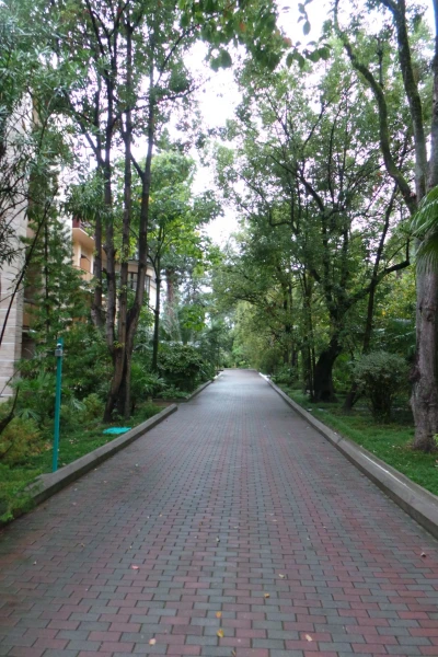 Зеленая территория