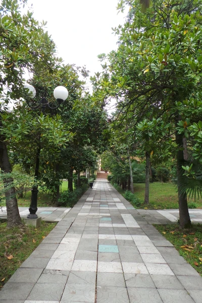 Зеленая территория