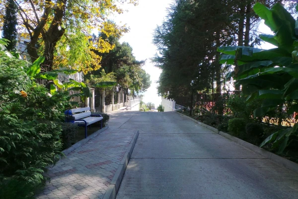 Дорога к морю