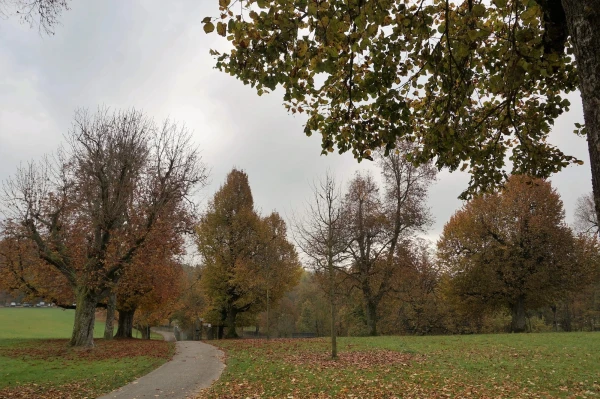 Парк животных Wildpark Heitern