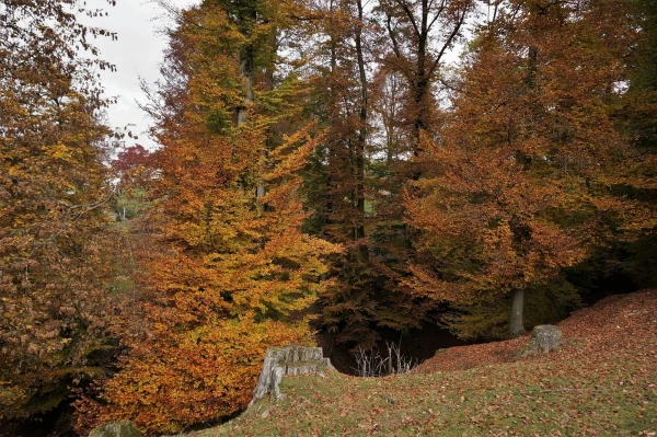 Парк животных Wildpark Heitern