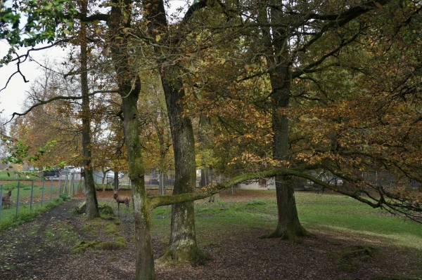 Парк животных Wildpark Heitern