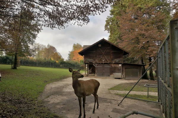 Парк животных Wildpark Heitern
