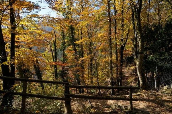 Осень - самое фотогеничное время года!
