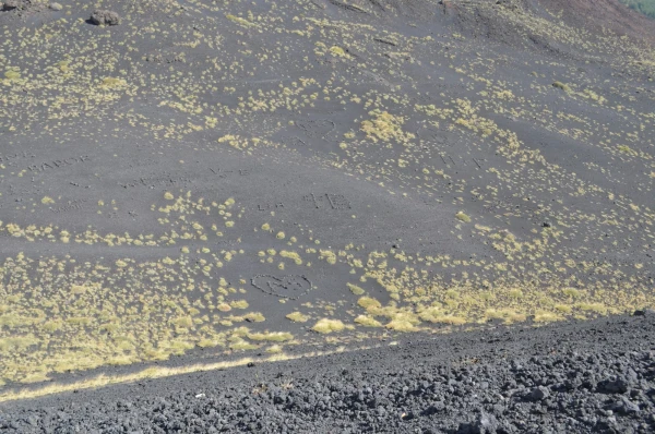 Признание в любви на высоте 2000 метров над уровнем моря!