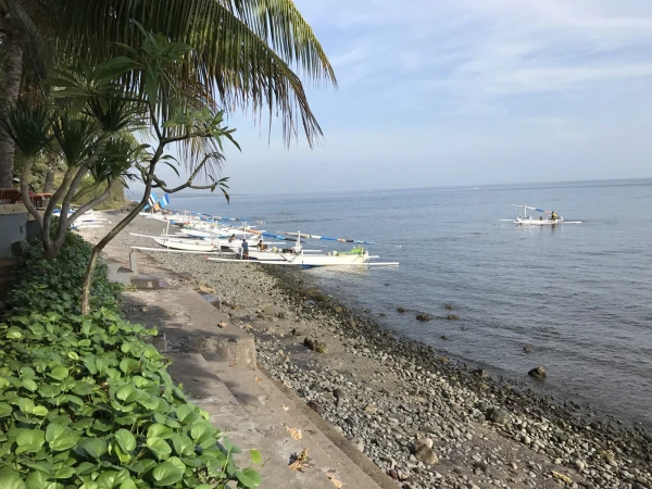 Балийское море