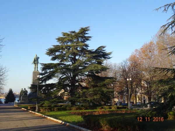 Парк у Владимирского собора...