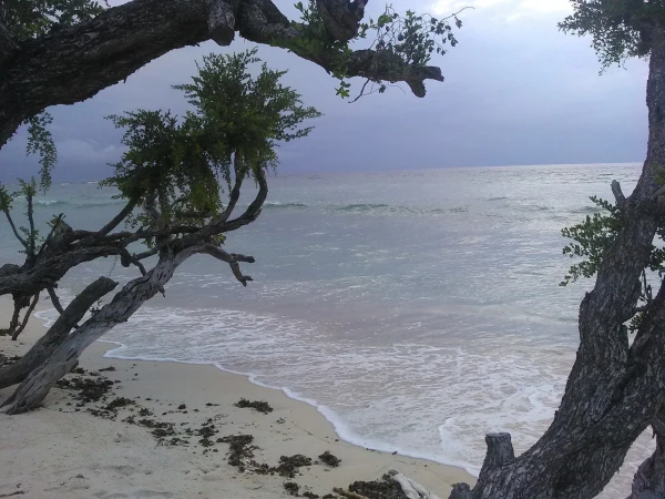 Wild beach (Гили Т.)