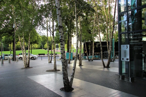 Sony Center — ансамбль зданий на Потсдамской площади в центре германской столицы, один из символов нового Берлина. Берёзки.