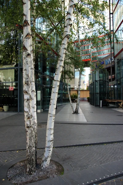 Sony Center — ансамбль зданий на Потсдамской площади в центре германской столицы, один из символов нового Берлина.